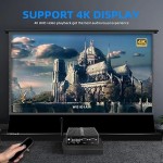 无风扇迷你电脑,工业电脑,迷你电脑 N100(高达 3.4GHz),4K 高清 + VGA 双显示输出,2千兆以太网,4USB,2RS232 COM,Win11,WiFi,BT(8GB RAM 256GB SSD)