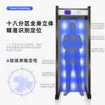 Metal detection gate